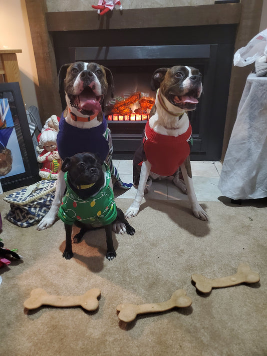 1 Jumbo Peanut Butter And Honey Biscuit Snack Made With Real Ingredients