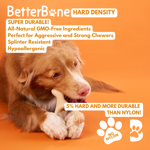 BetterBone HARD CHEW TOY: Natural Ingredients, eco-friendly & durable