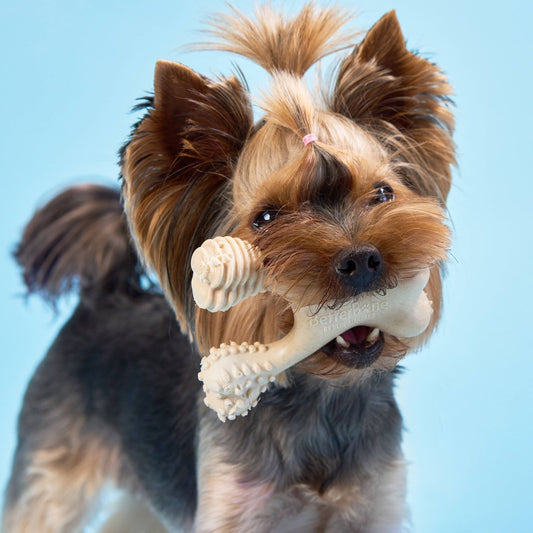 BetterBone SOFT Durability CHEW TOY: Natural Ingredients, Perfect for Teething Puppies, Senior Dogs