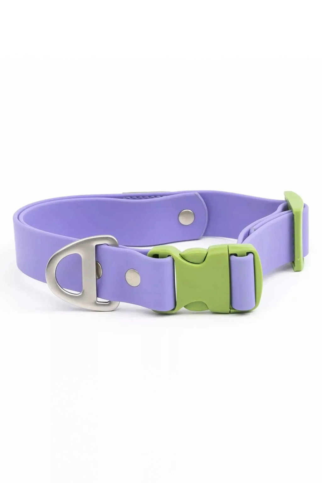 Lavender Garden Waterproof Dog Collar