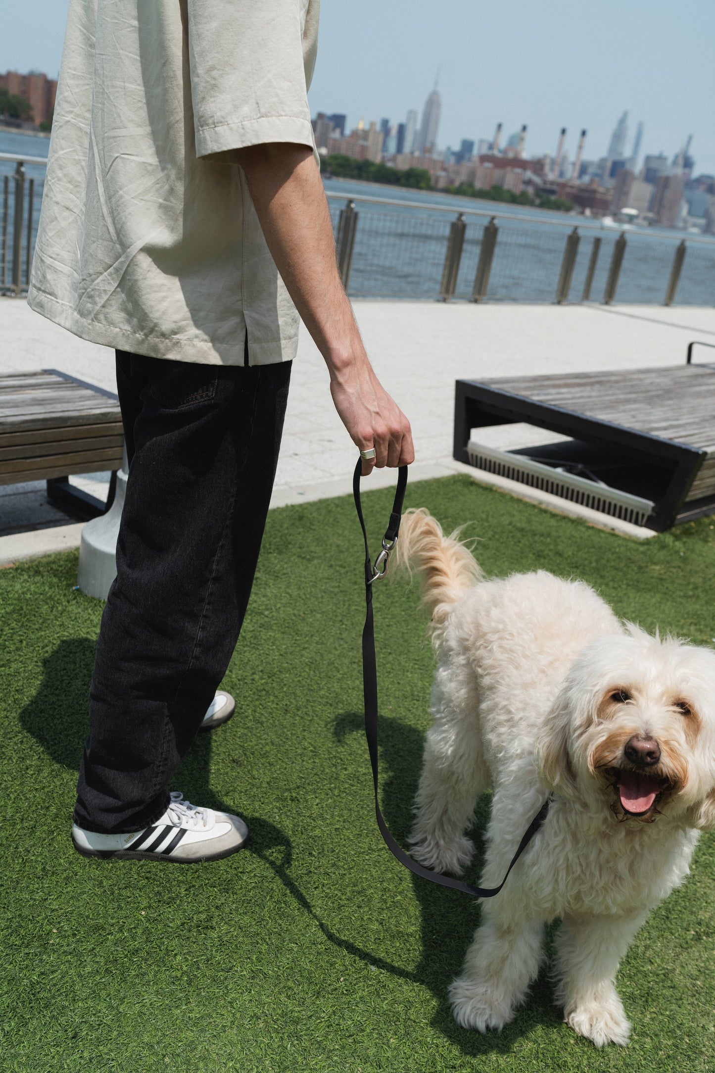 Original City Dog Leash - 3.25ft