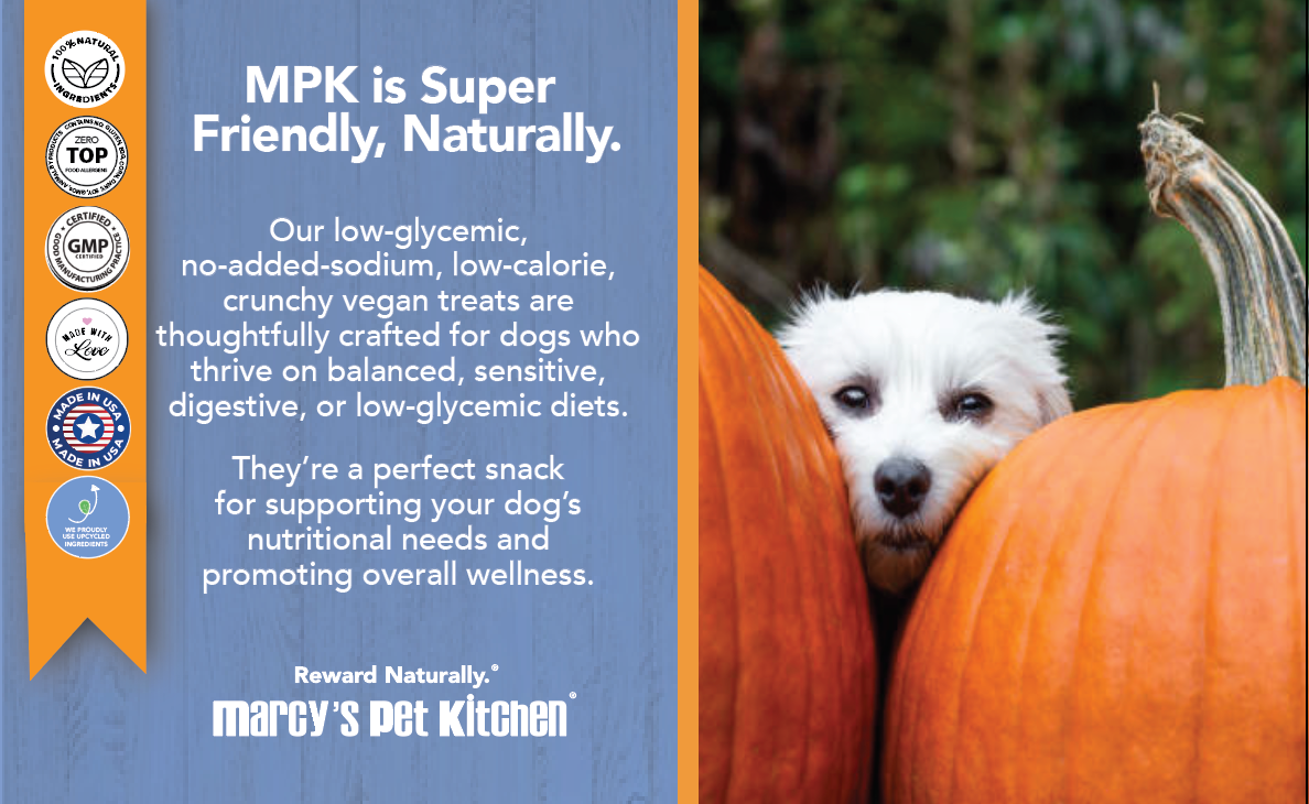 Marcy's Pet Kitchen- All Natural, Vegan Pumpkin Biscuit Dog Treats - Homemade-Vet Approved