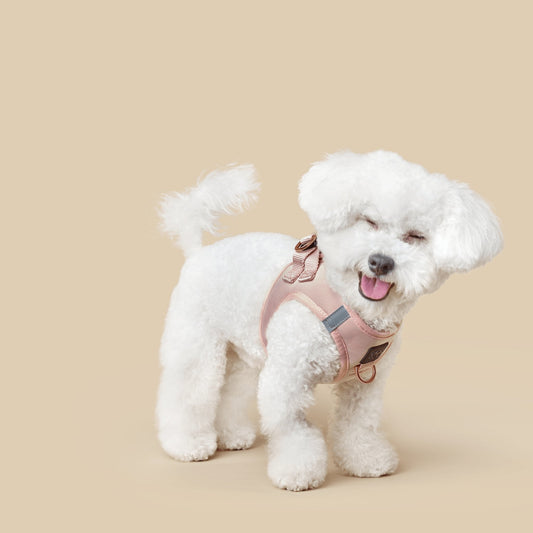 SoHo Dog Harness - Blush Pink