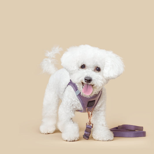 Poop Bag Holder - Lilac Gray