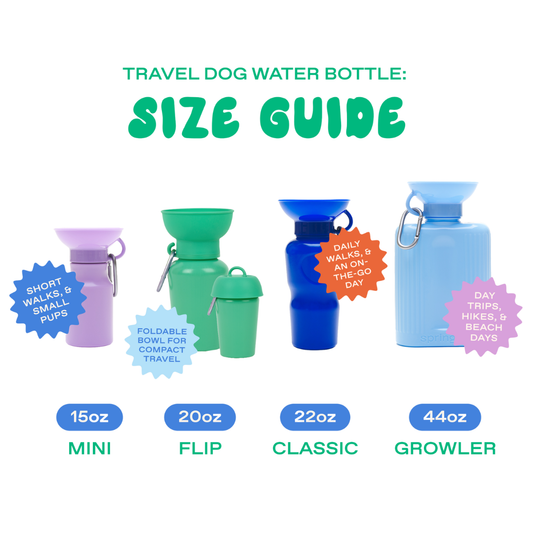 22oz Original Dog Travel Water Bottle
