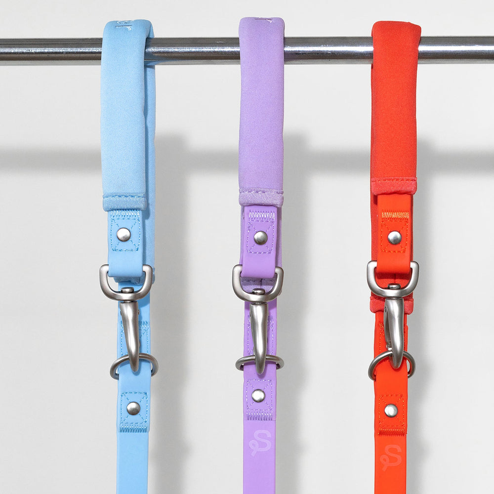 Collars, Leashes, & Key Chains