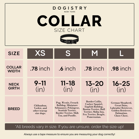 City Collar - Fifth Avenue