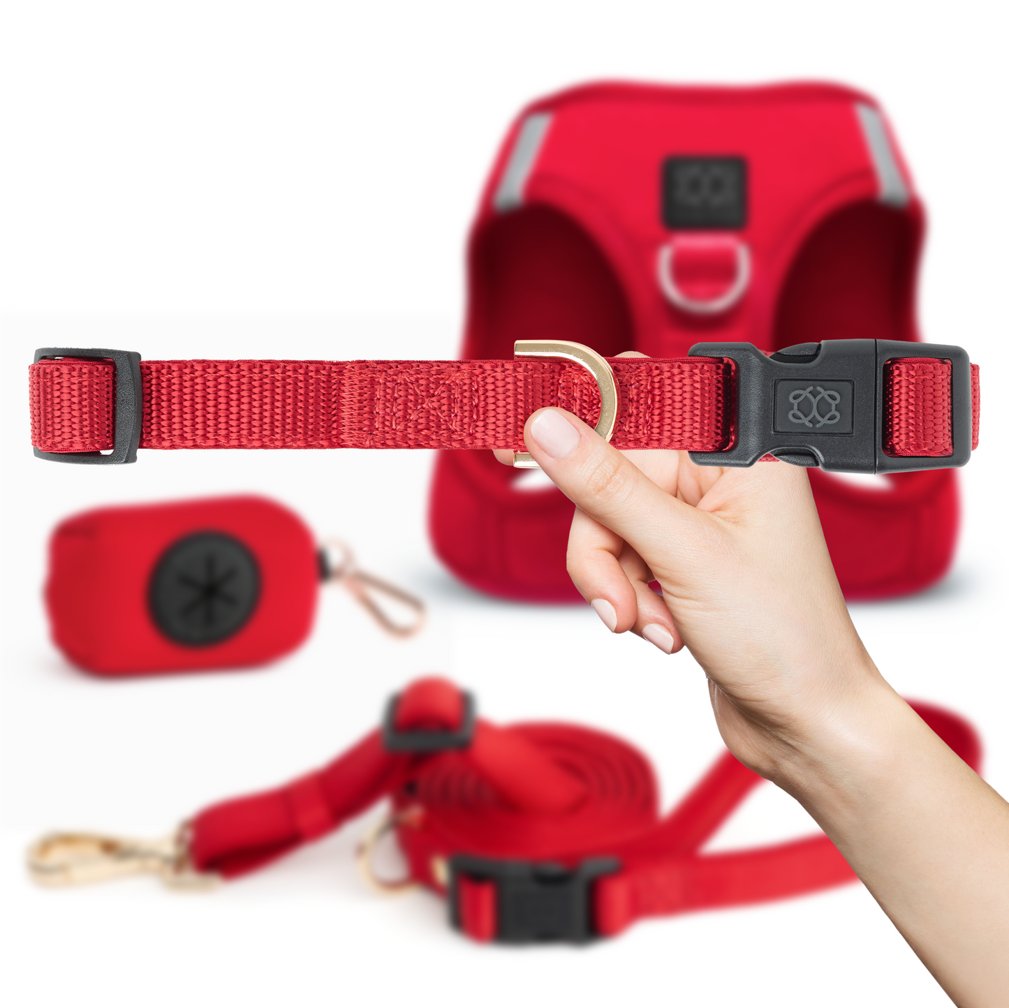 City Collar - Iconic Red