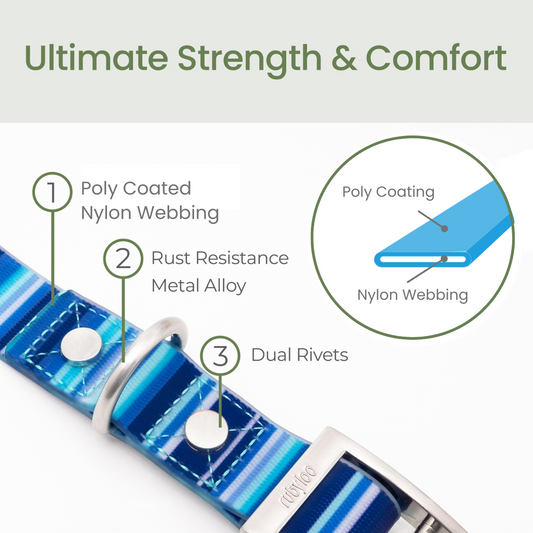 Waterproof Dog Collars – Washable Dog Collar, Stink-Proof & Durable