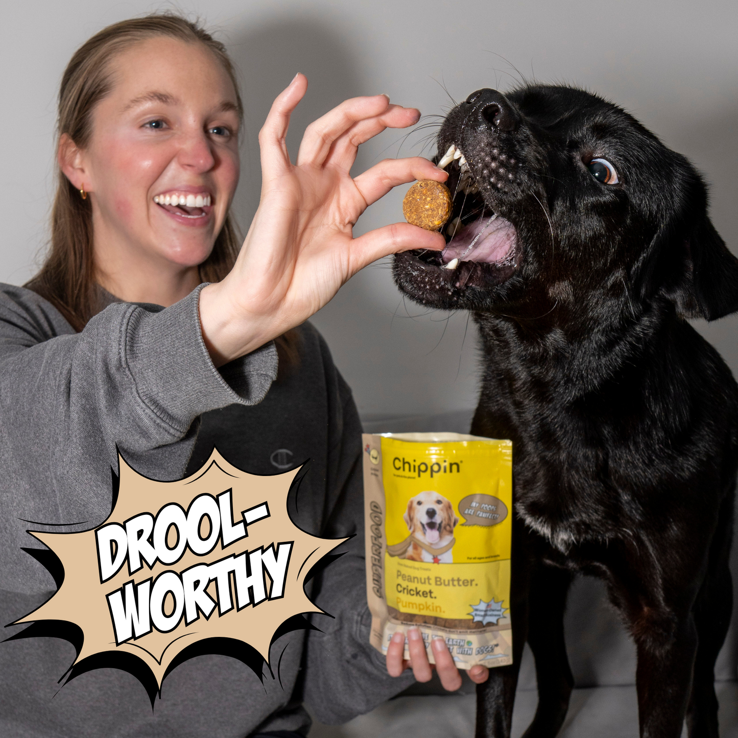 Chipping Treats-Gut-Healthy Dog Treat Variety Bundle