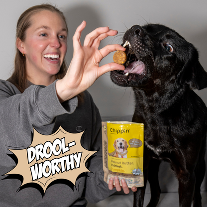 Chipping Treats-Gut-Healthy Dog Treat Variety Bundle