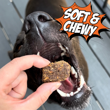 Chippin Treats Variety Gift Bundle, 6-Pack- Your dog will love these