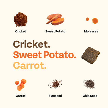 Cricket & Sweet Potato Jerky Dog Treats, 4-Pack Your dog will love these