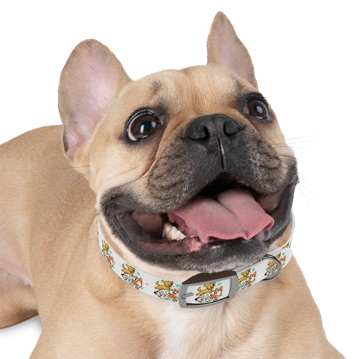 Dog Collar - Fun Dog Design- Premium TPU Material - Zoom Dog Shop