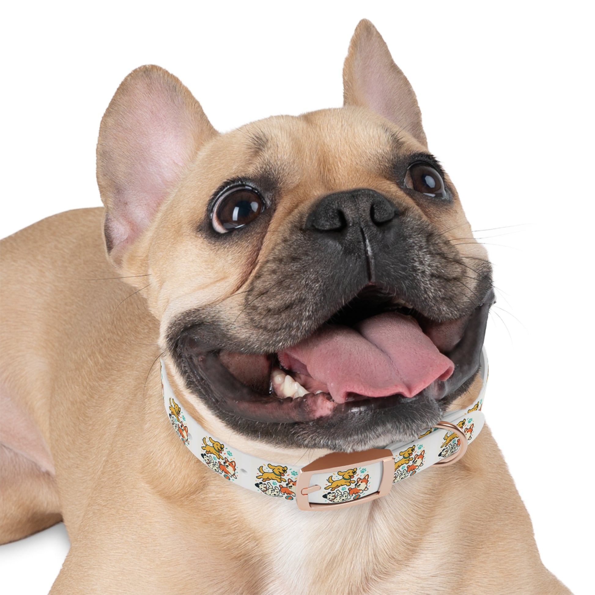 Dog Collar - Fun Dog Design- Premium TPU Material - Zoom Dog Shop