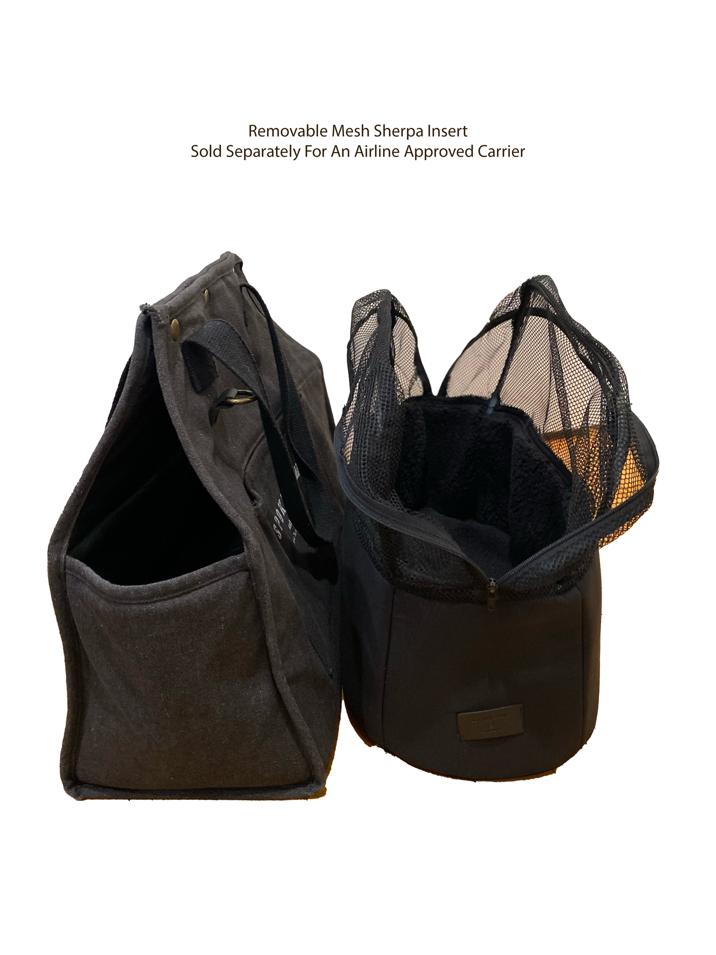 'The Daily' Packable Pet Carrier-M-Black