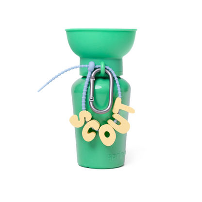 20oz Flip Dog Travel Water Bottle