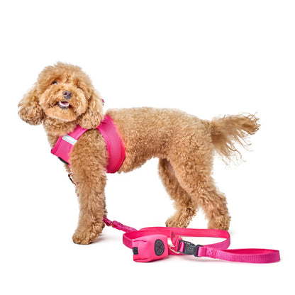 3-in-1 City Dog Leash - Park Ave Pink