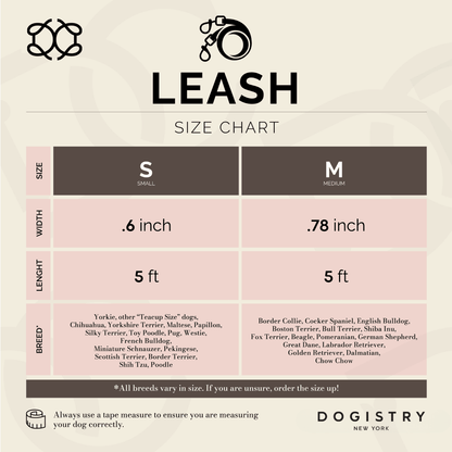 3-in-1 City Dog Leash - Sweetheart