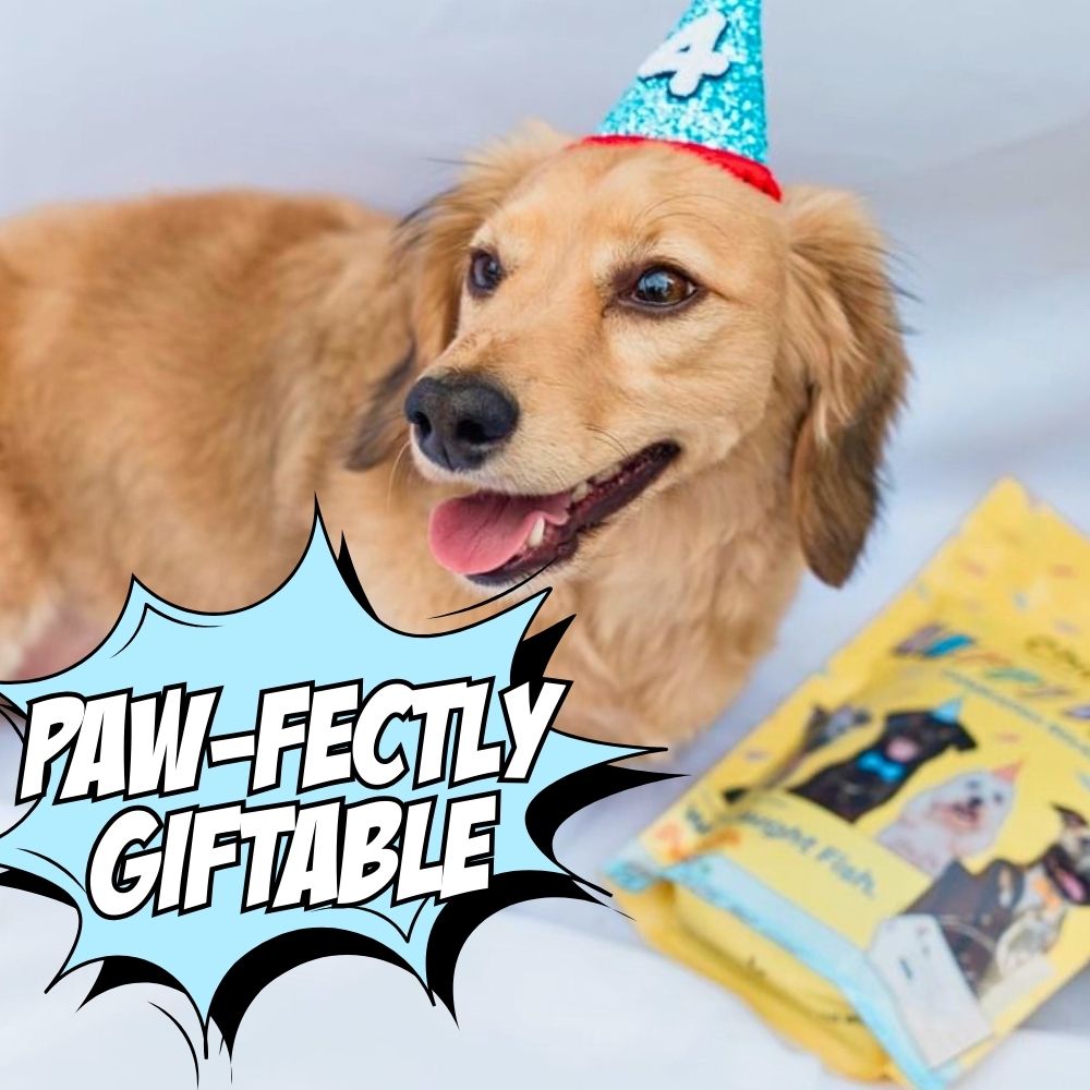 Chippin Treats Variety Gift Bundle, 6-Pack- Your dog will love these