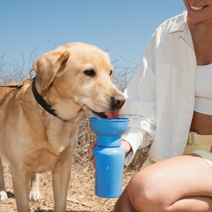 20oz Flip Dog Travel Water Bottle