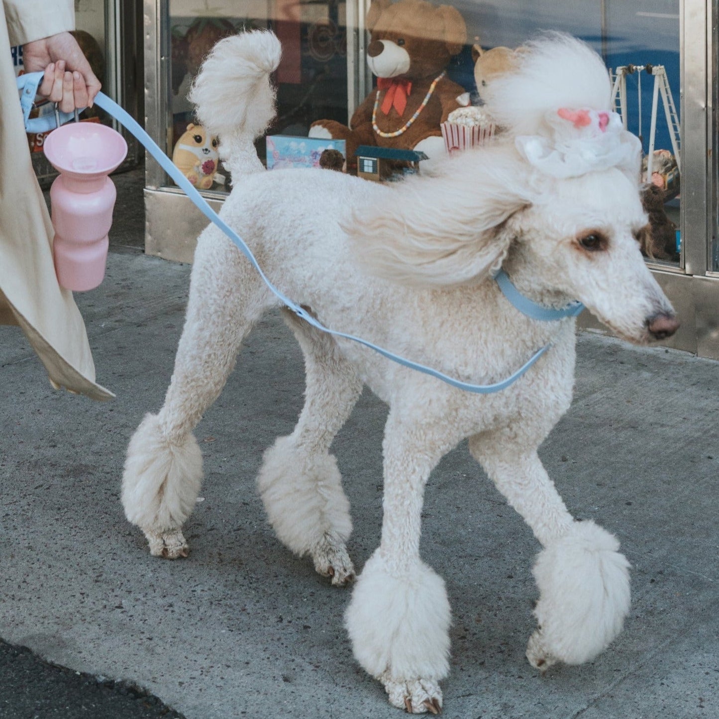 Original Dog Leash with Neoprene Handle - 5ft