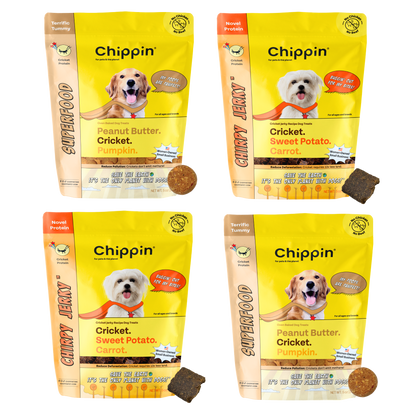 Chipping Treats-Gut-Healthy Dog Treat Variety Bundle