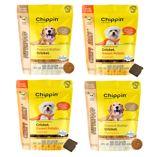 Chipping Treats-Gut-Healthy Dog Treat Variety Bundle