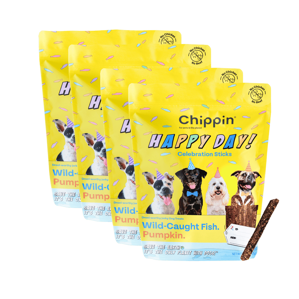 Birthday Dog Treats, 4-Pack