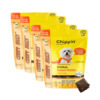 Cricket & Sweet Potato Jerky Dog Treats, 4-Pack Your dog will love these
