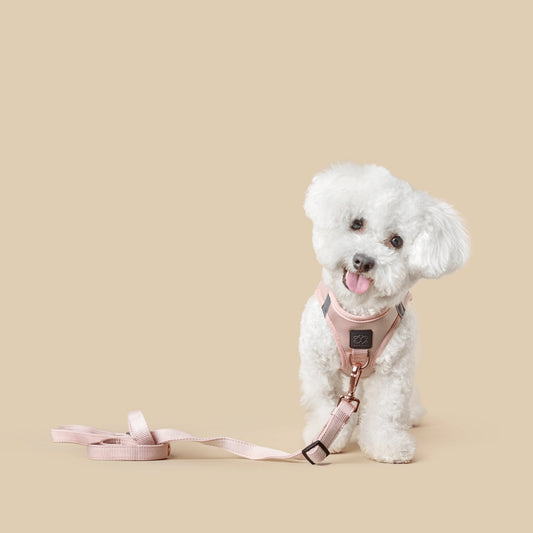 3-in-1 City Dog Leash - Blush