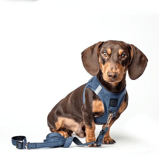 3-in-1 City Dog Leash - Denim