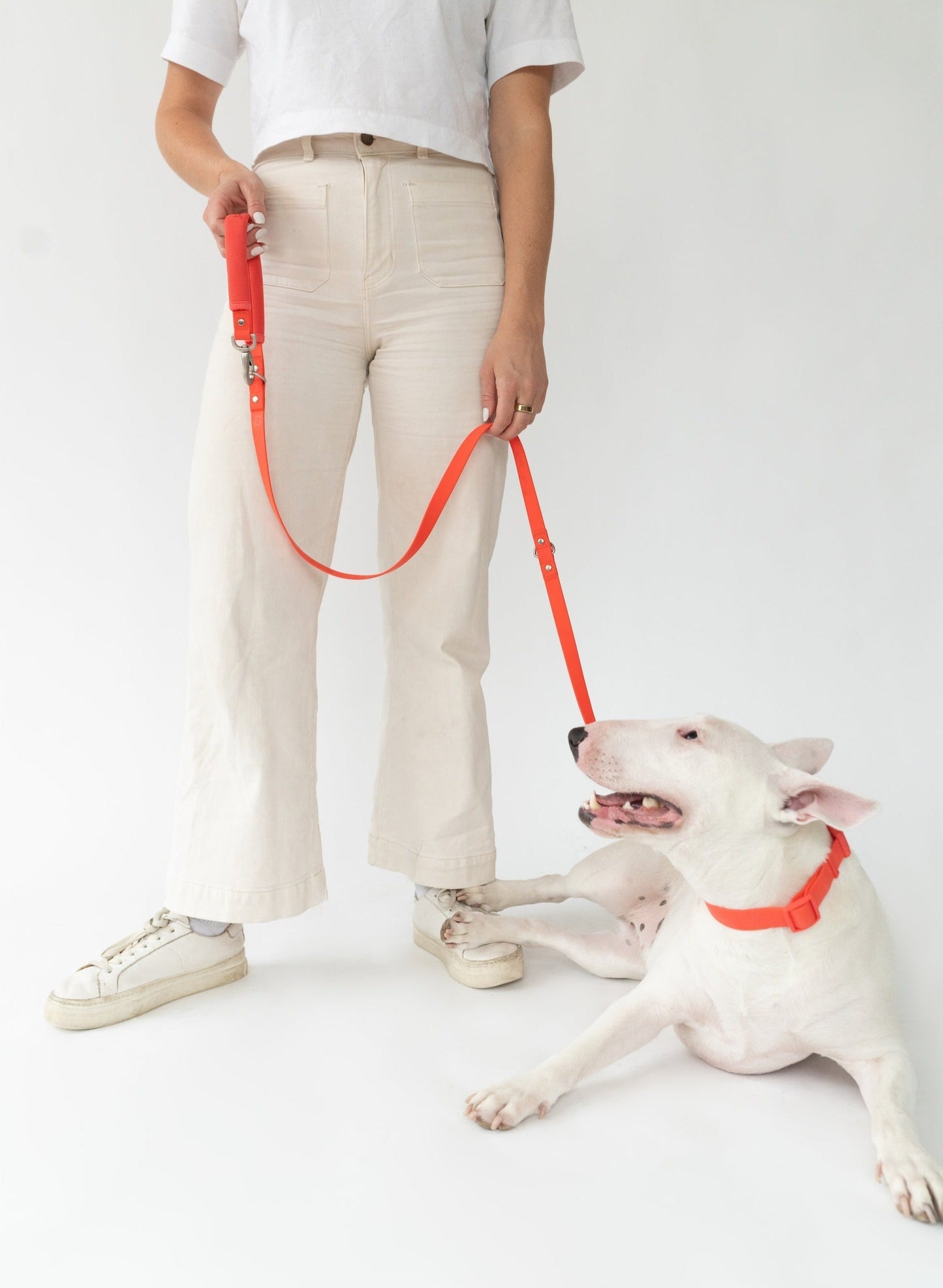 Original Dog Leash with Neoprene Handle - 5ft