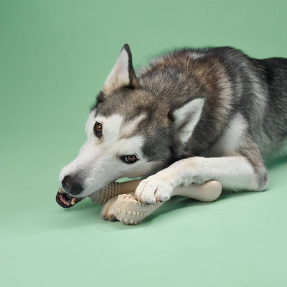BetterBone MEDIUM Durability CHEW TOY: Perfect Chew for Everyday Chewers