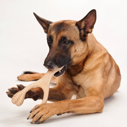 BetterBone MEDIUM Durability CHEW TOY: Perfect Chew for Everyday Chewers