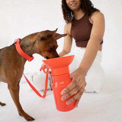 15oz Original Dog Travel Water Bottle