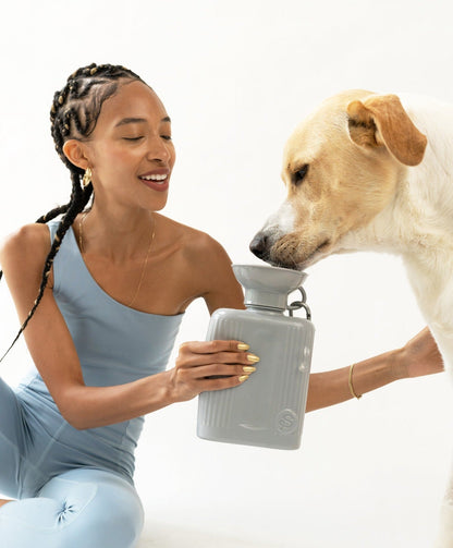 44oz Original Dog Travel Water Bottle