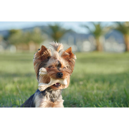 BetterBone HARD CHEW TOY: Natural Ingredients, eco-friendly & durable