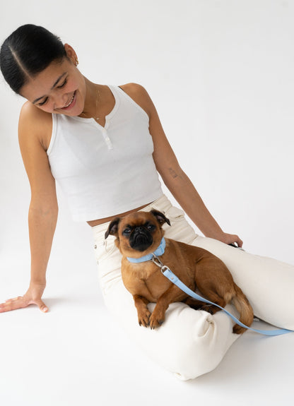 The Original Waterproof Dog Collar