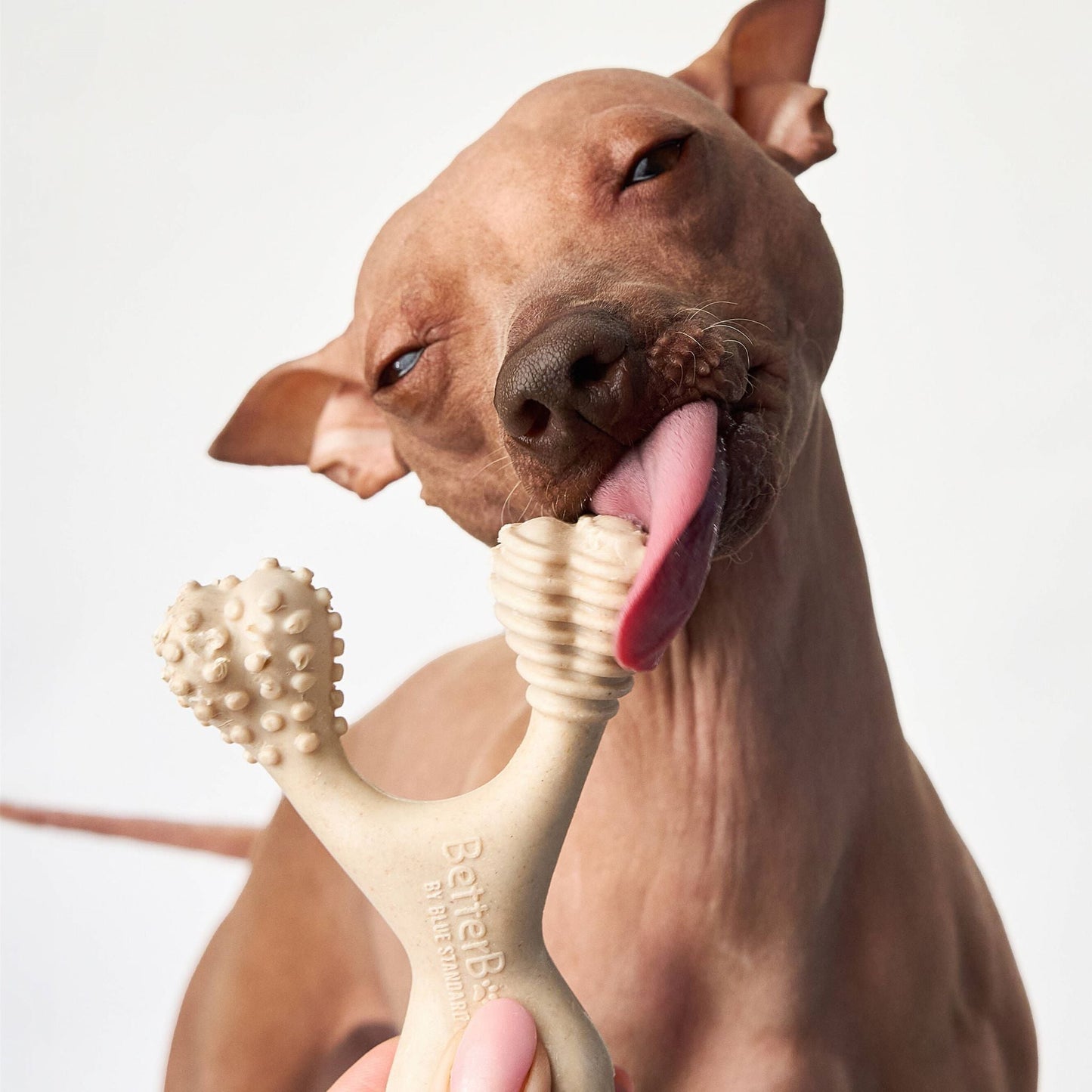 BetterBone SOFT Durability CHEW TOY: Natural Ingredients, Perfect for Teething Puppies, Senior Dogs
