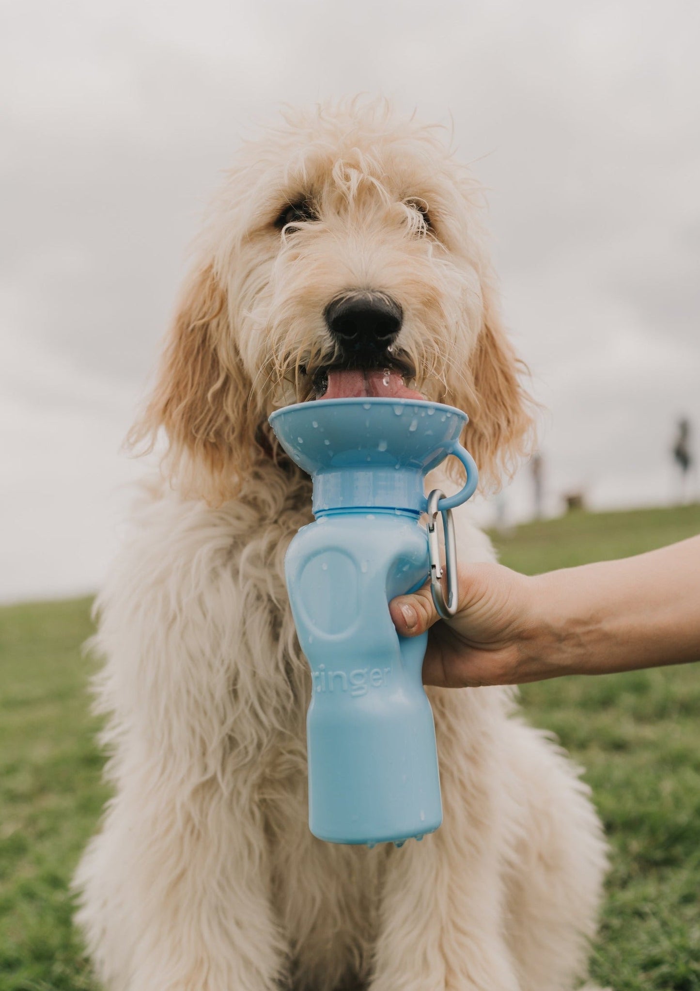 22oz Original Dog Travel Water Bottle