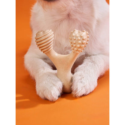 BetterBone HARD CHEW TOY: Natural Ingredients, eco-friendly & durable