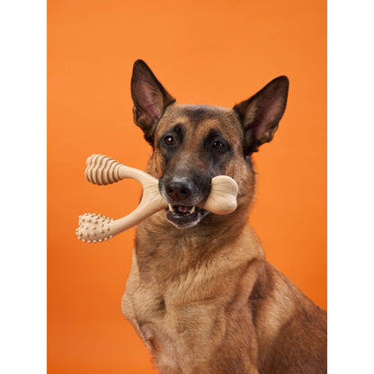 BetterBone HARD CHEW TOY: Natural Ingredients, eco-friendly & durable