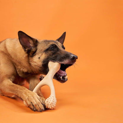 BetterBone HARD CHEW TOY: Natural Ingredients, eco-friendly & durable