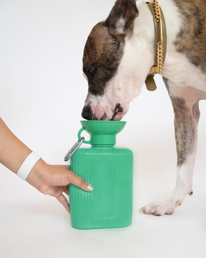 44oz Original Dog Travel Water Bottle