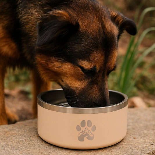 Stainless Steel Feeder Bowl