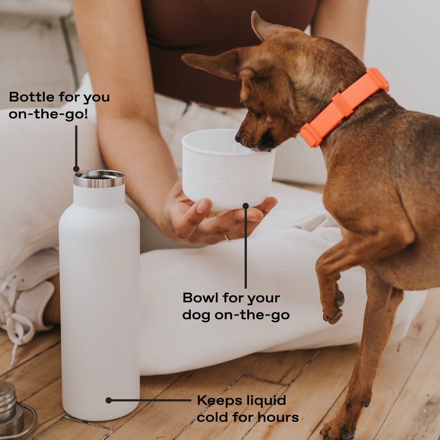 24oz Dog & Me Insulated Water Bottle