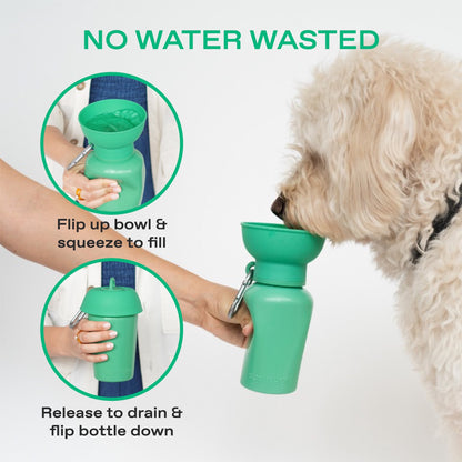 20oz Flip Dog Travel Water Bottle
