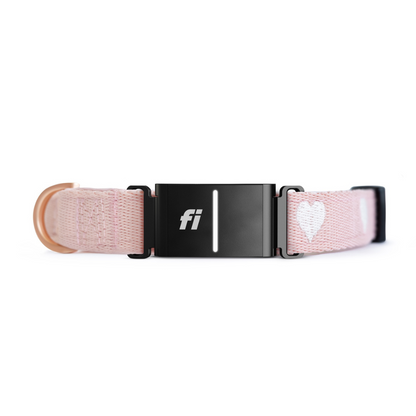 The DOGISTRY x Fi Sweetheart 3+ Collar Band
