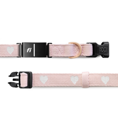 The DOGISTRY x Fi Sweetheart 3+ Collar Band